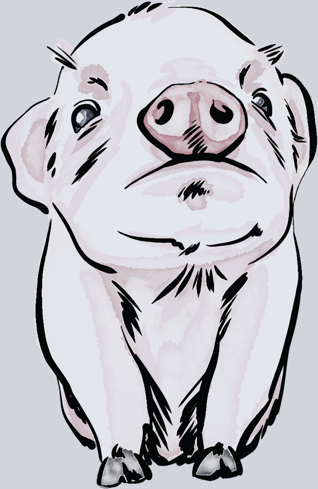 Cute Baby Pig - STK01517 (DTF Transfers)