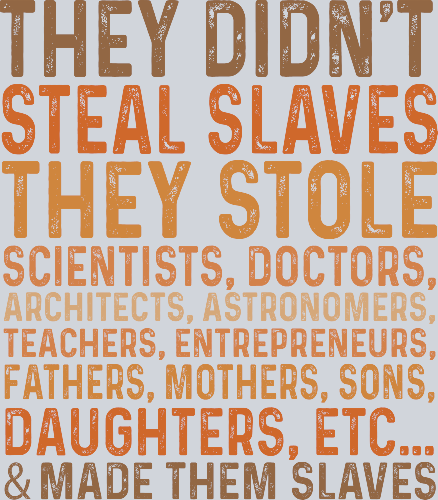 They Didnt Steal Slaves - STK07561 (DTF Transfers)