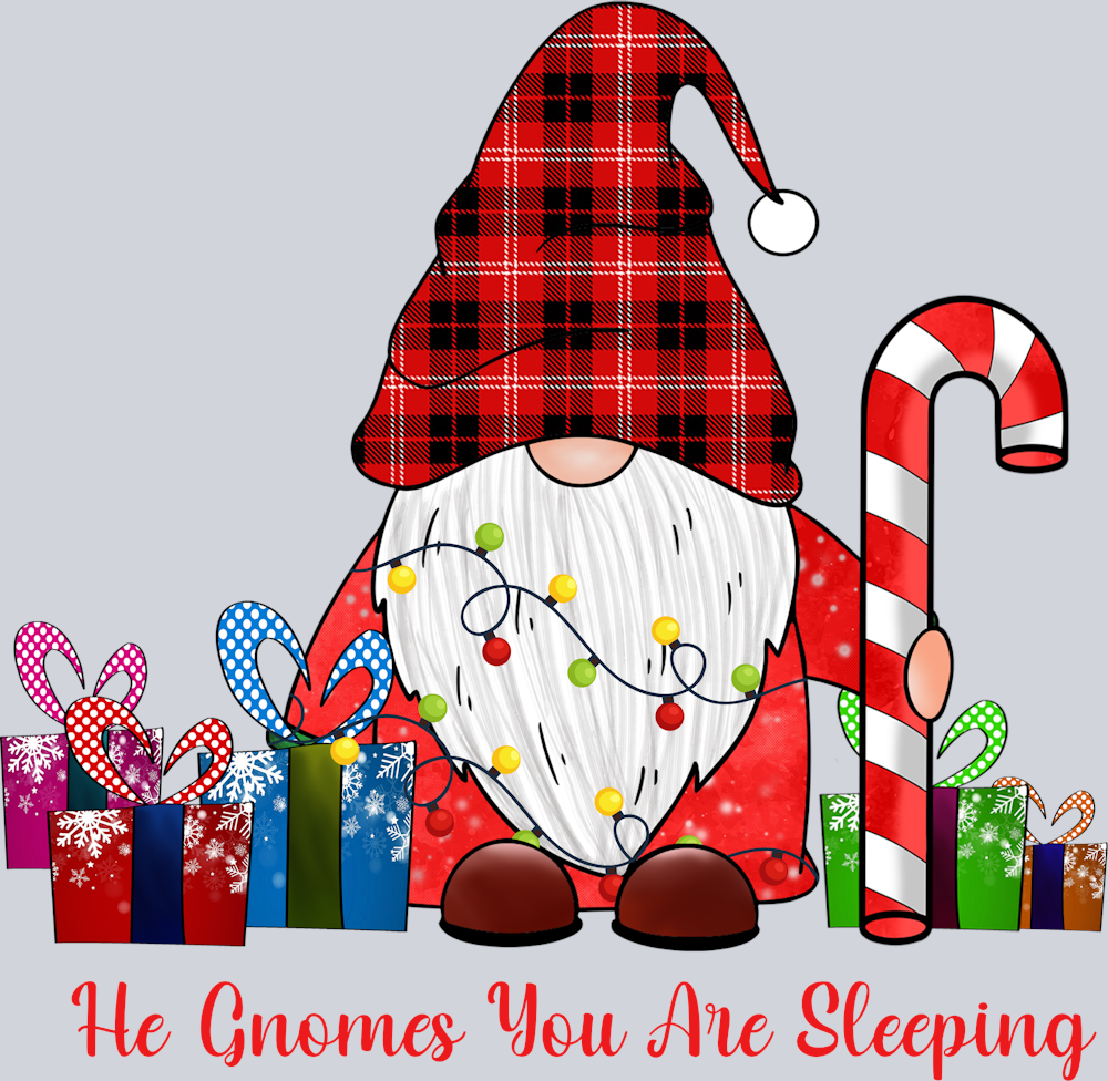 He Gnomes You Are Sleeping - STK02634 (DTF Transfers)