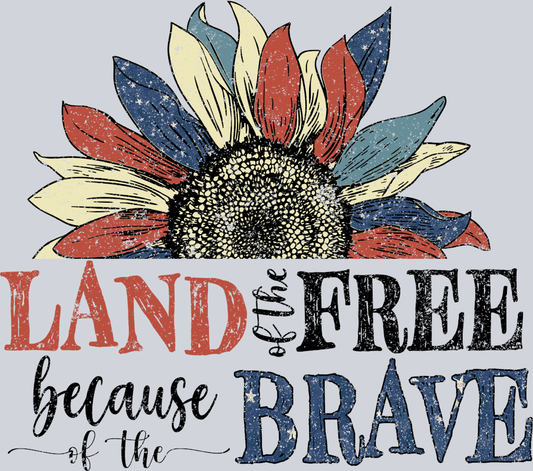 Land Of The Free Because Of The Brave 5 - STK03525 (DTF Transfers)