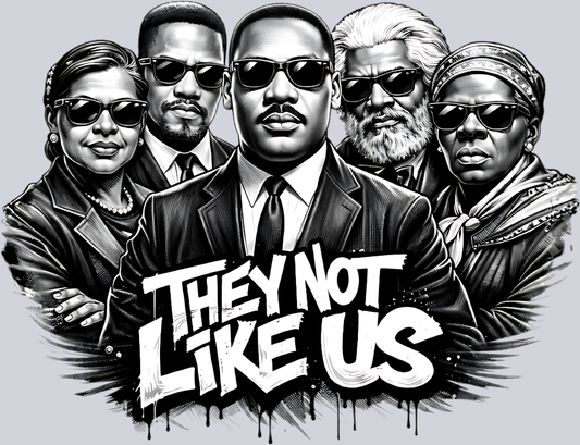 They Not Like Us 1 - STK07562 (DTF Transfers)