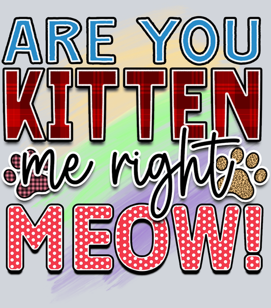 Pets Are You Kitten Me - STK04815 (DTF Transfers)
