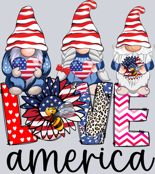 Love America - STK03699 (DTF Transfers)