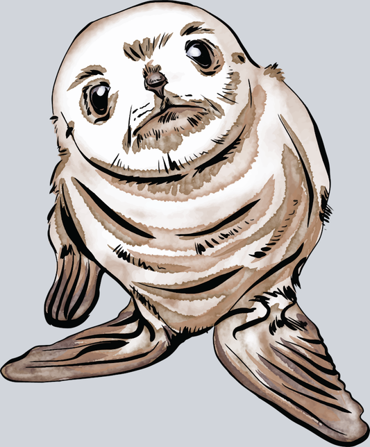 Cute Baby Seal - STK01520 (DTF Transfers)