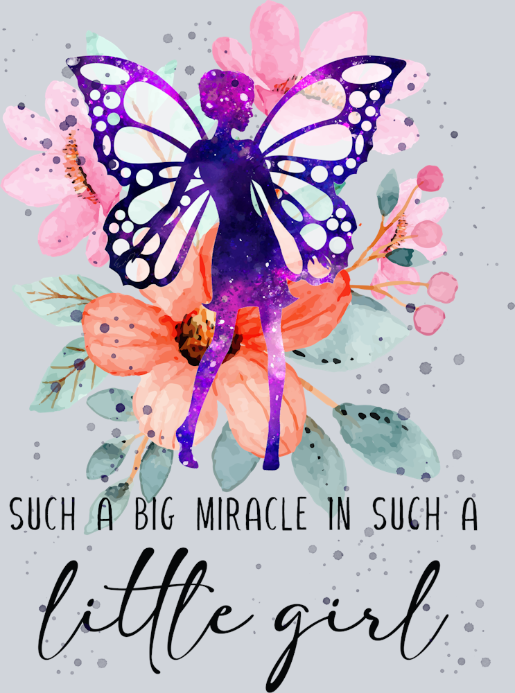 Fairy Such A Big Miracle - STK01891 (DTF Transfers)