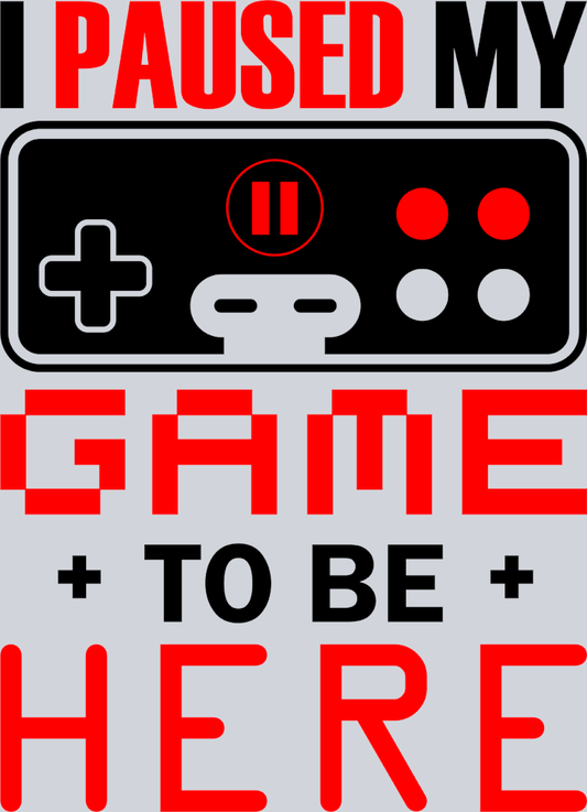 I Paused My Game To Be Here - STK06942 (DTF Transfers)
