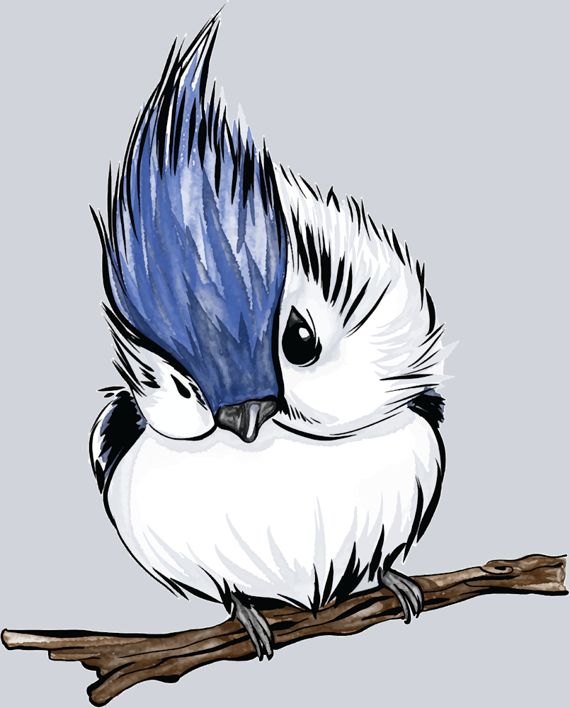 Cute Baby Blue Jay - STK01498 (DTF Transfers)