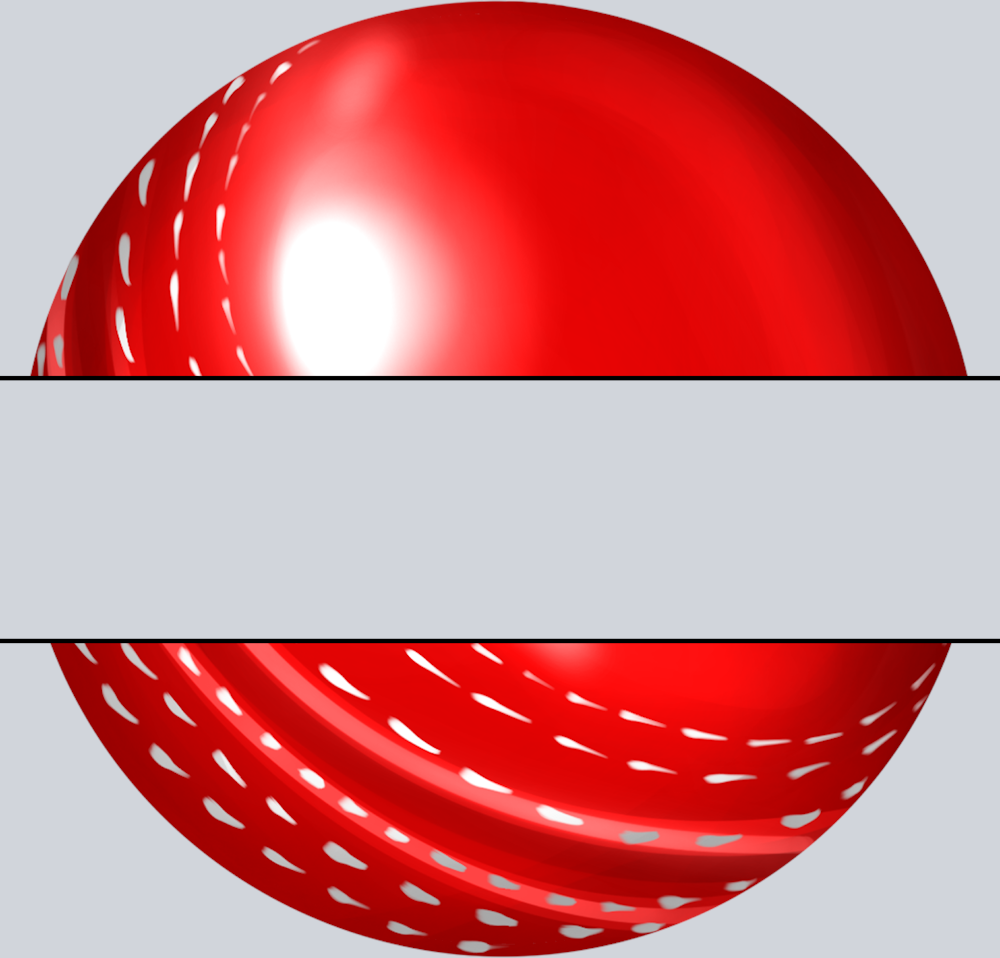 Cricket Name Plate - STK01473 (DTF Transfers)