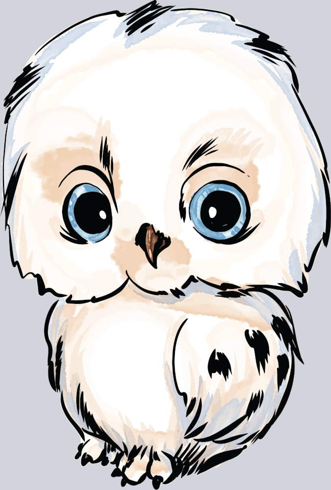 Cute Baby Owl - STK01514 (DTF Transfers)