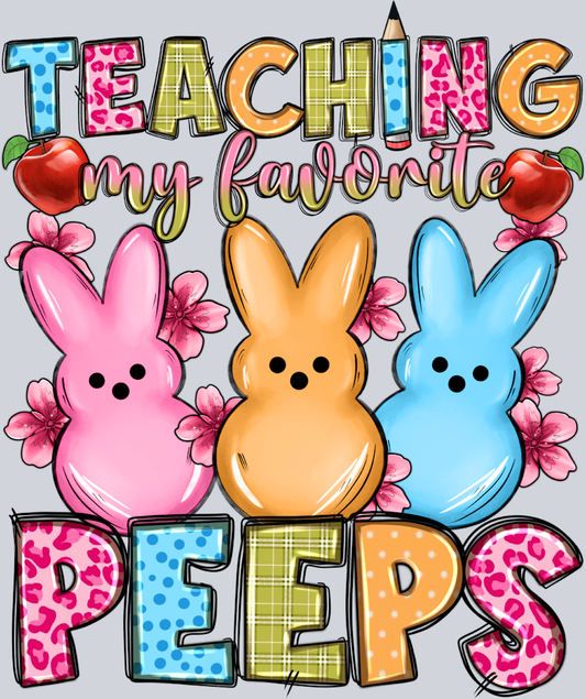 Teaching My Favorite Peeps - STK05974 (DTF Transfers)