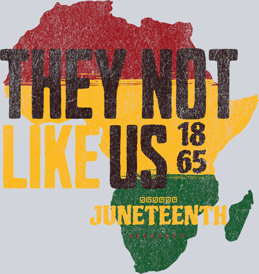 They Not Like Us Juneteenth 1865 - STK06090 (DTF Transfers)